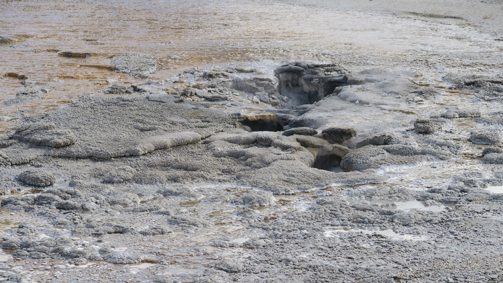 Small steam vents in the sinter in a geyser basin.