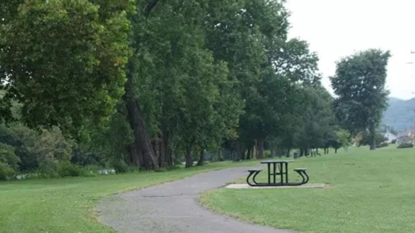 A paved trail curves around green grass.