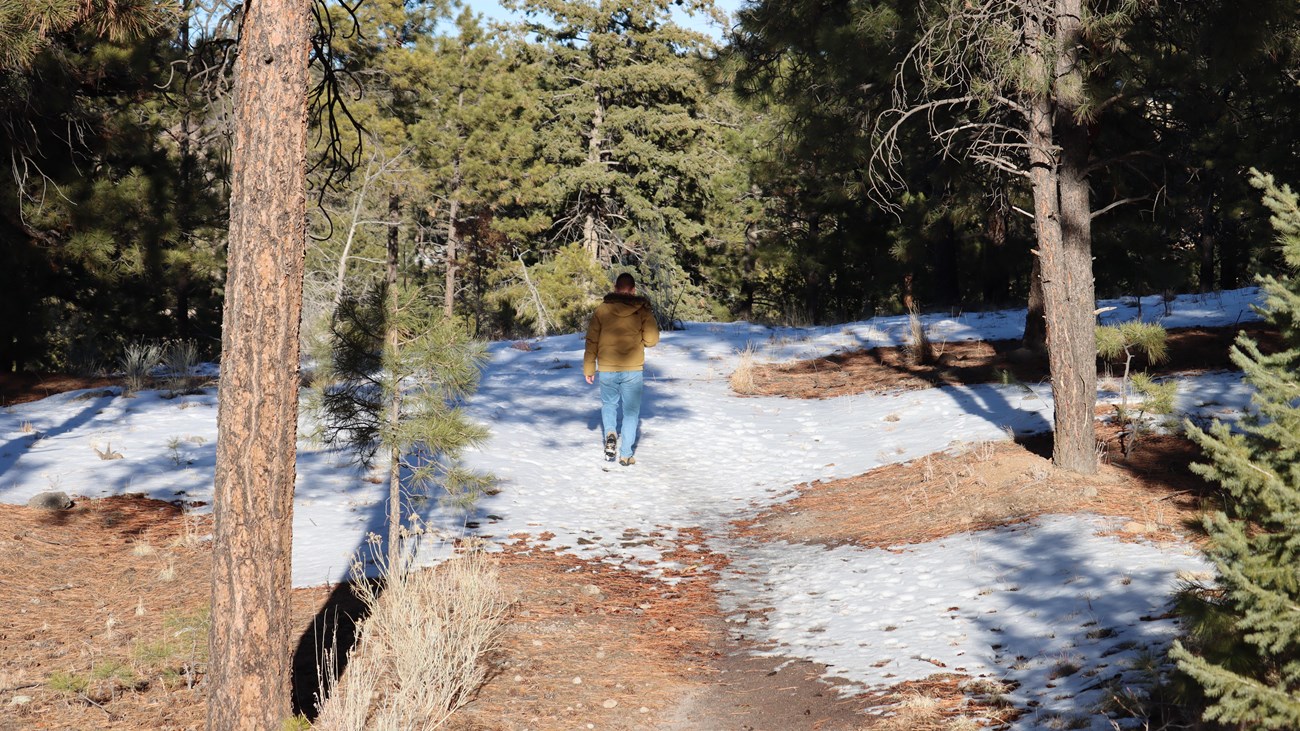 A person in a tan jacket and jeans walks on a snowy trail surrounded by trees.