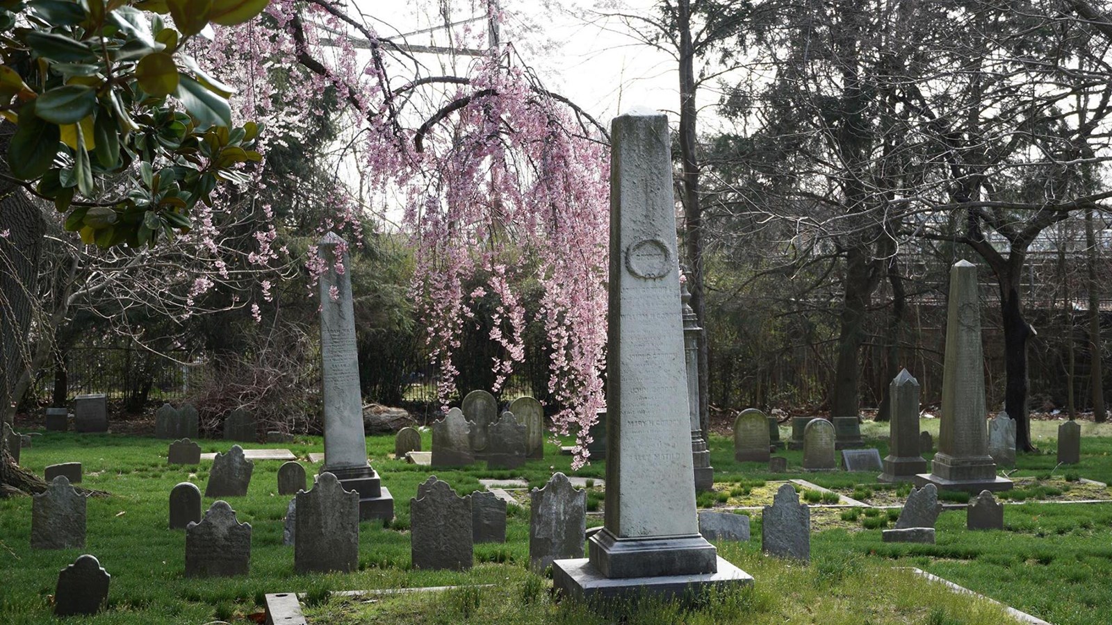 Pink flowers hang behind more than 15 grave markers ranging in height. 