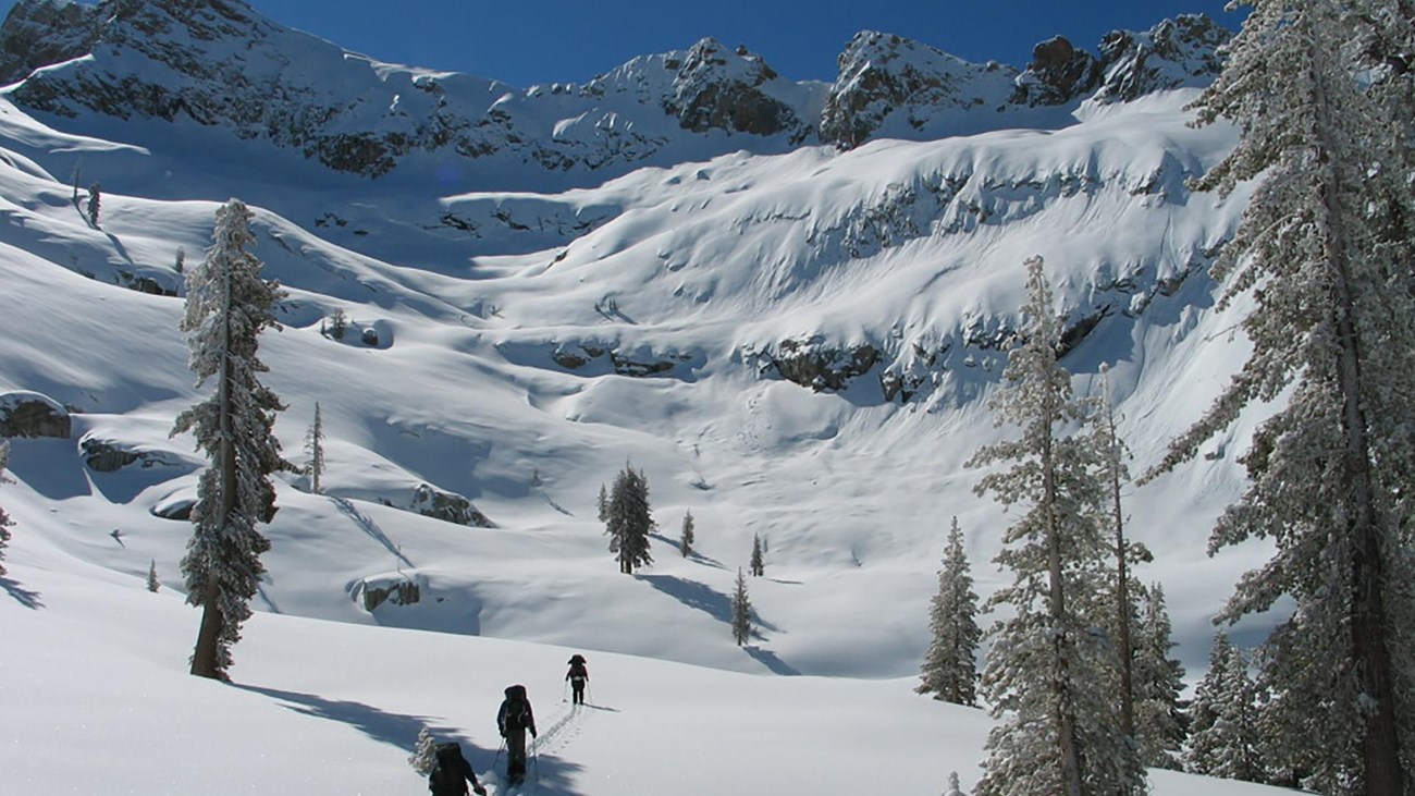 A group of cross country skiers ski up a vast snowy landscape.