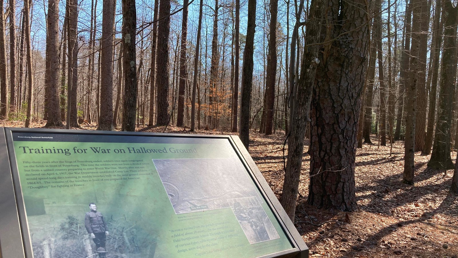 Wayside stands on the side of a road facing a grove of trees growing on and near trenches.