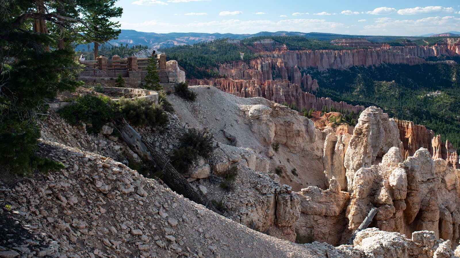 White rock red rock spires and forest at viewpoint