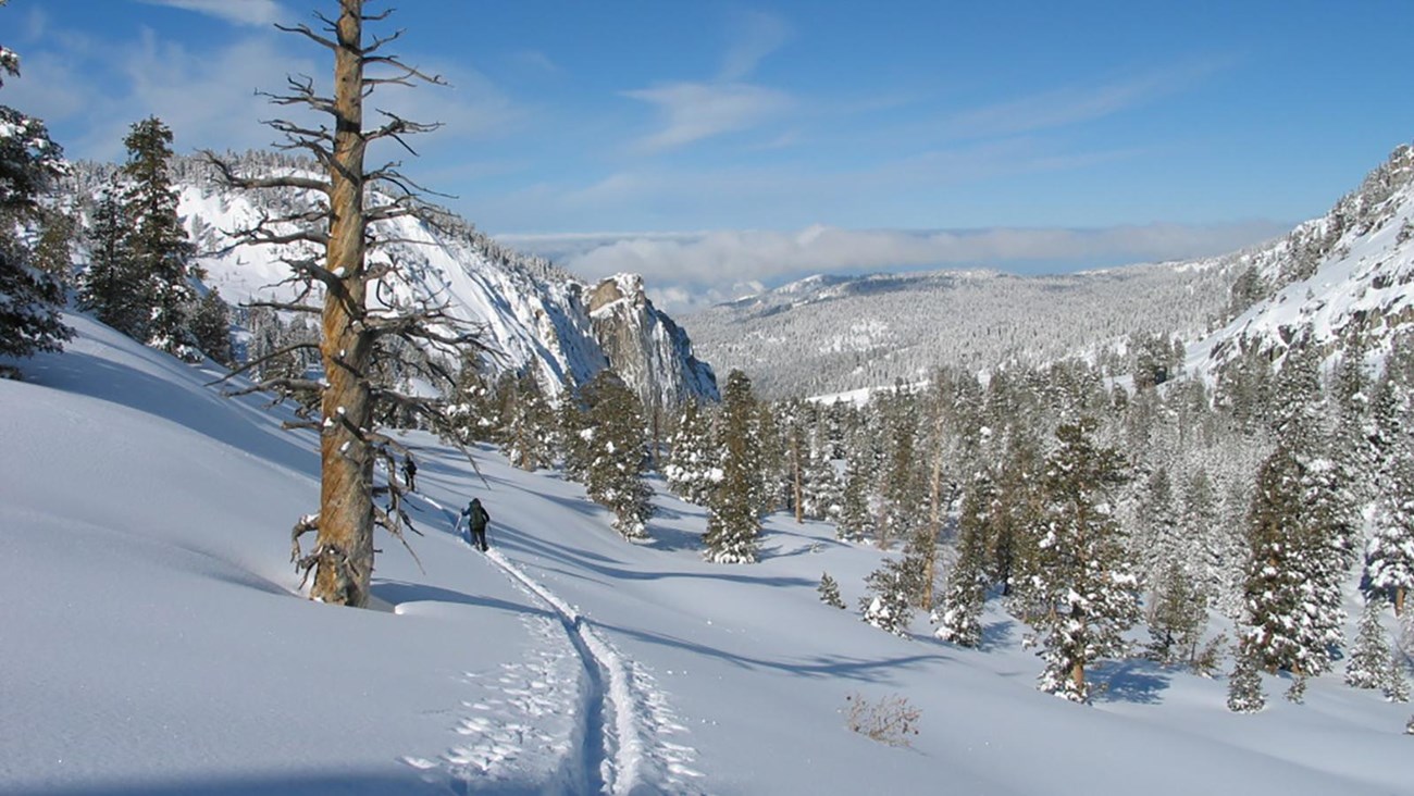 A skier skis down a trail with a snowy landscape in the background.