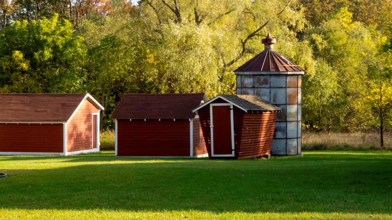 Small red buildings and a metal silo with ridge of green trees behind and a long shadow in front