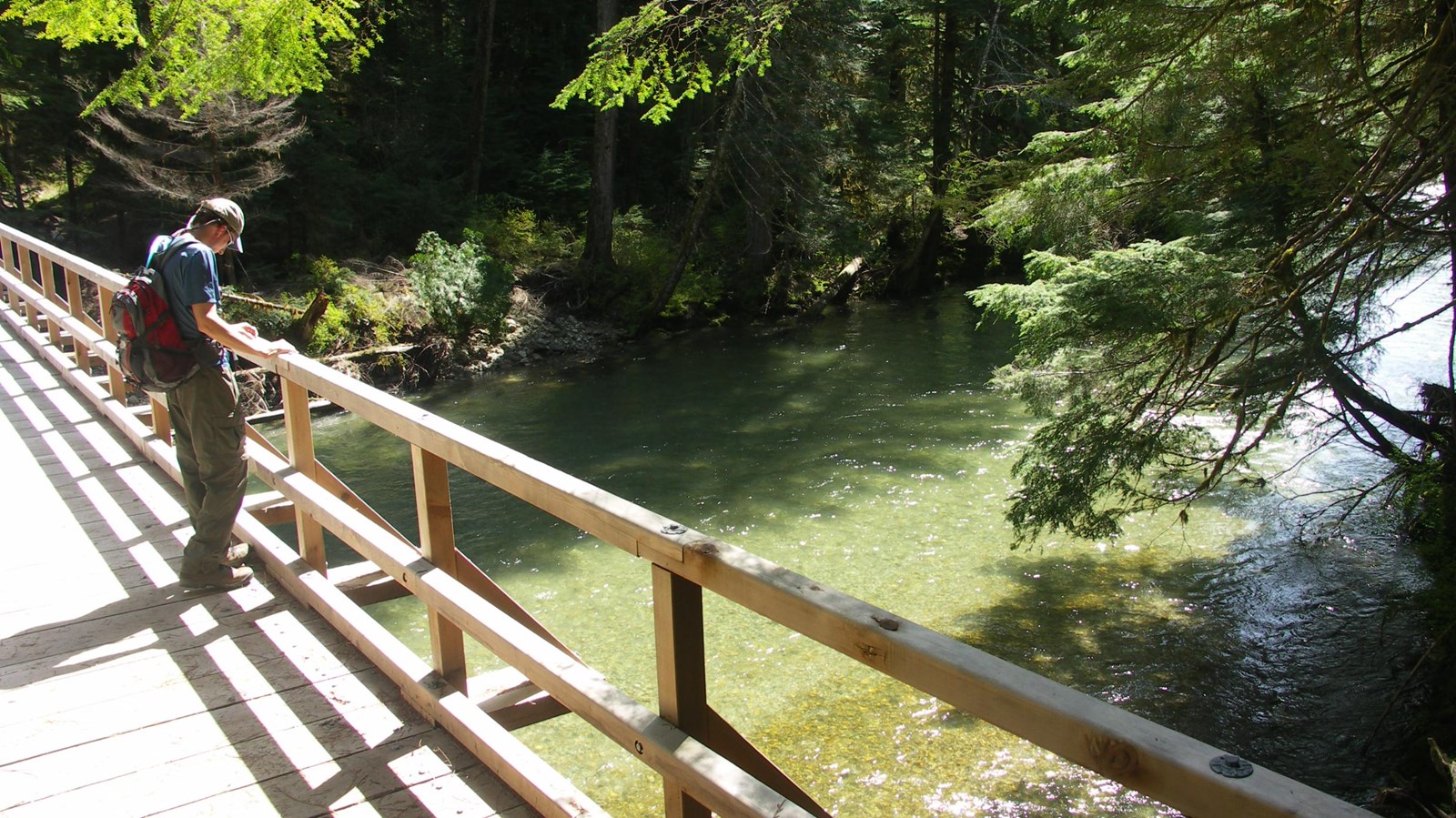 A hiker stands on a bridge looking down at the creek.