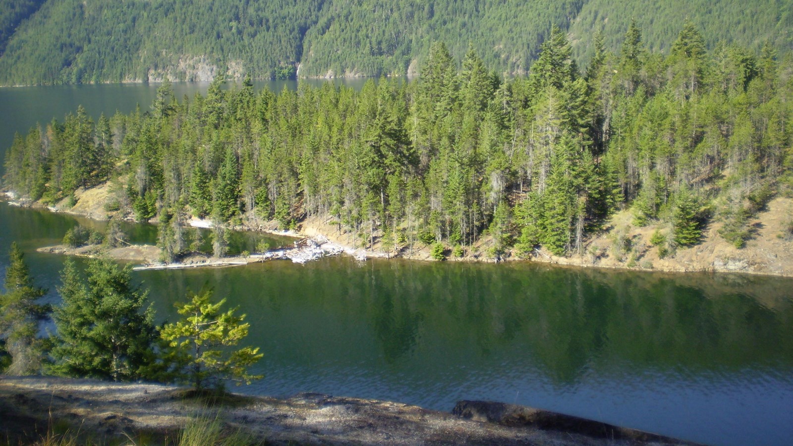 A view of a lake with a forested shoreline.