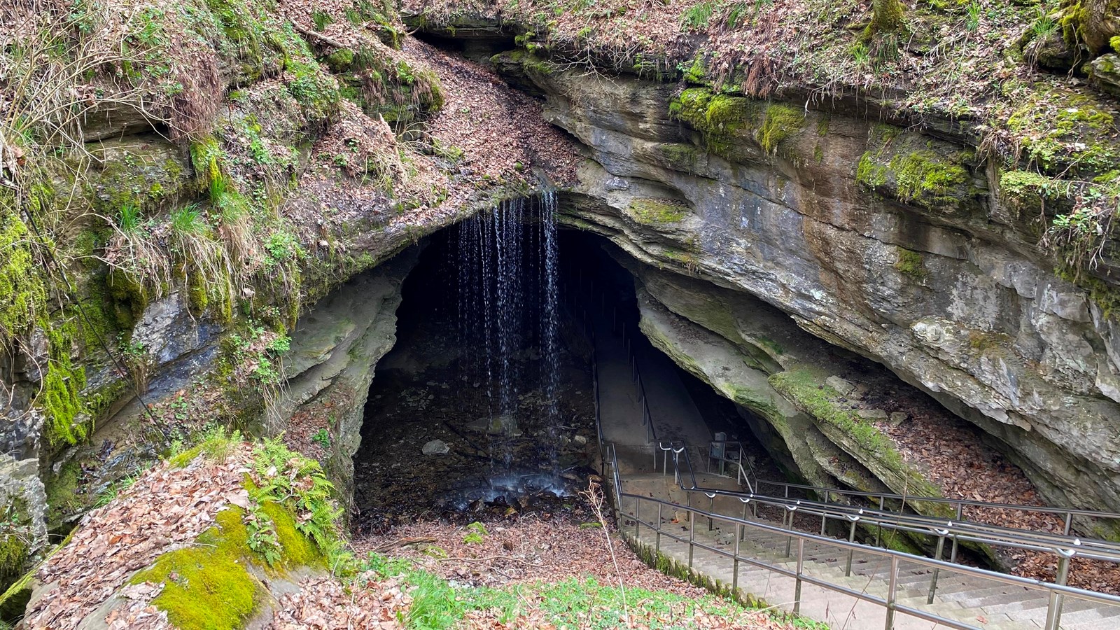 A long staircase leading into the opening of a cave. Tall trees surround the area. 