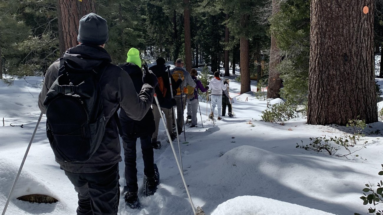 A group of visitors with snowshoes walk down a trail.