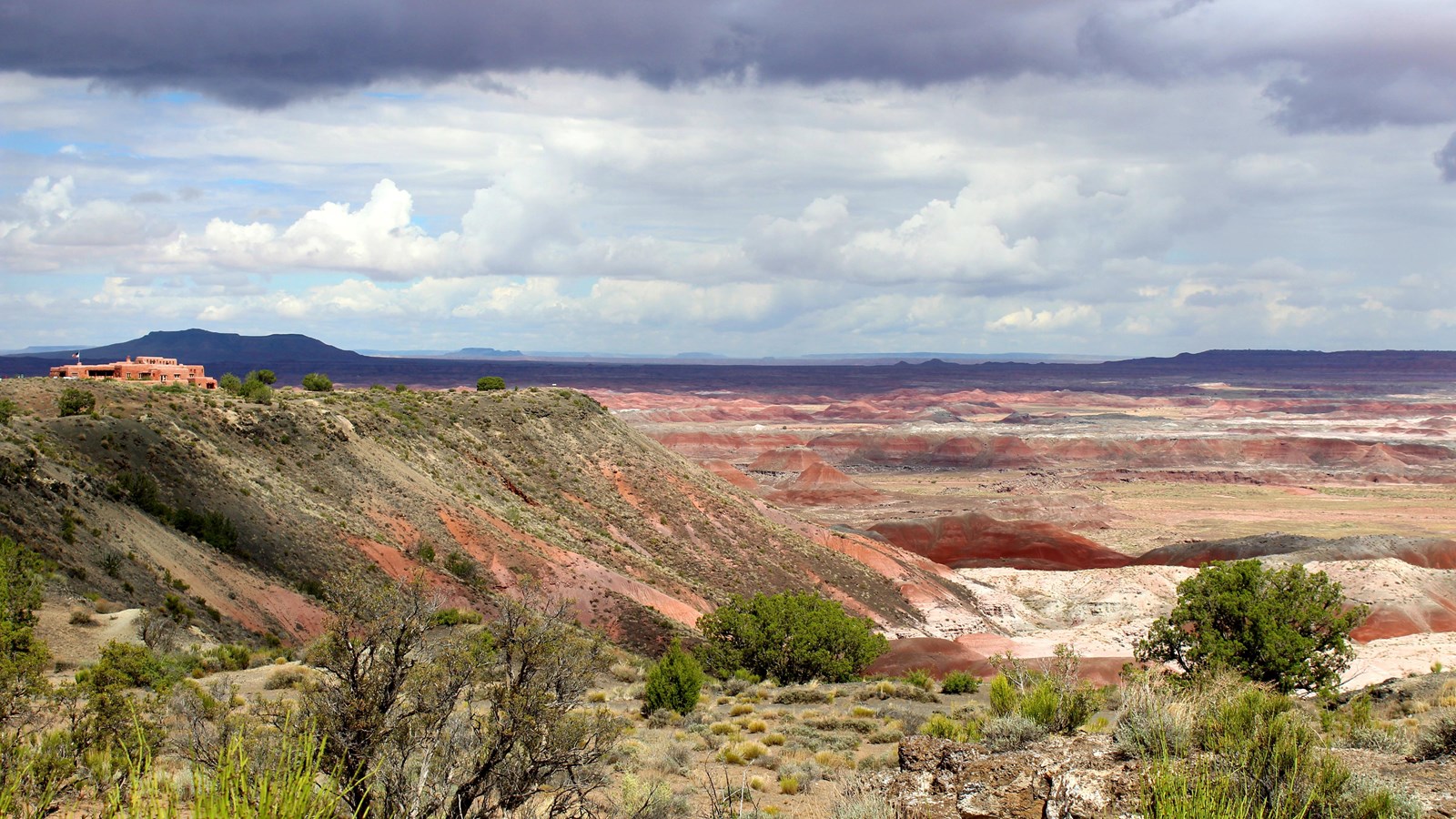 Juniper and cliffroses overlooking white and red badlands under a cloudy sky, mesas in distance.