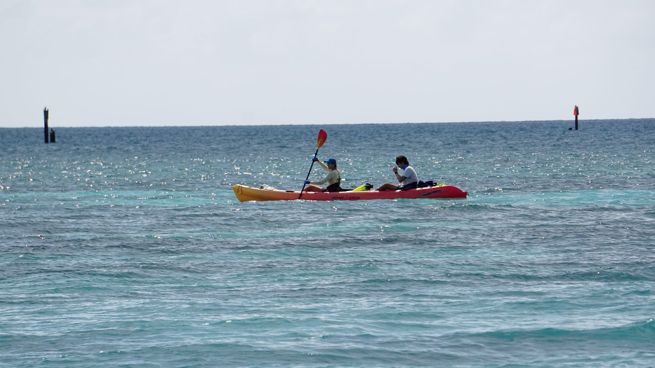 Kayakers