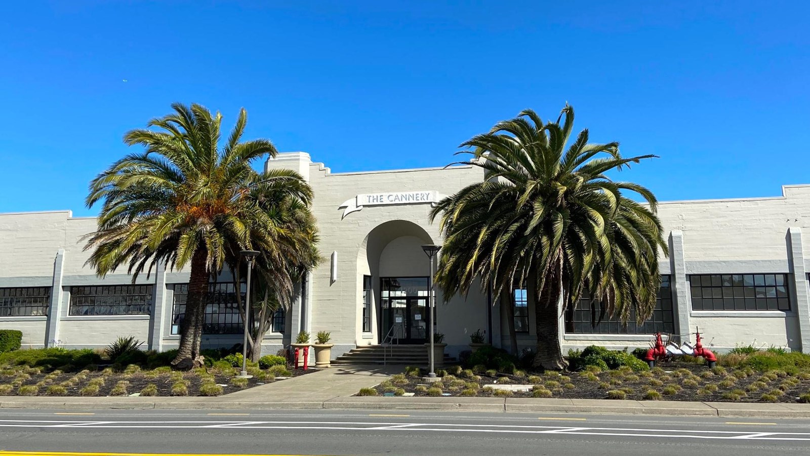 Large two story building with multiple windows and two palm trees in front. 
