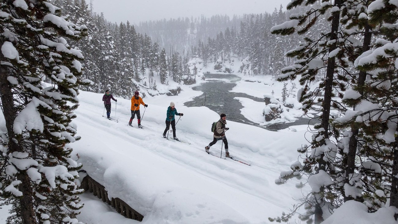 Four skiers travel across a bridge near a river on a snow-covered landscape.