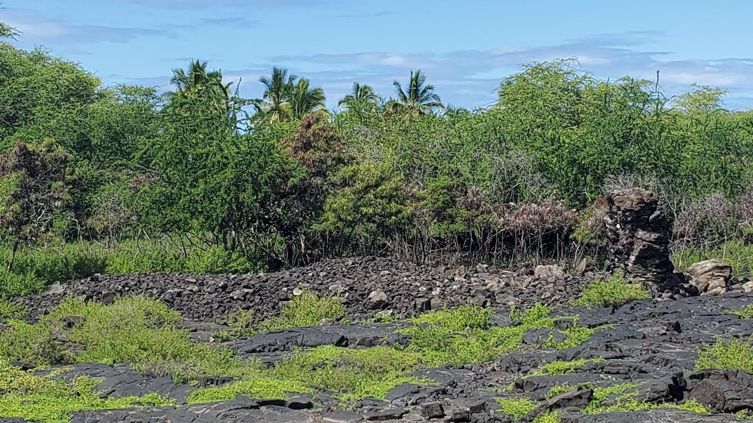 A pile of rubble and a large, upright standing stone is all that remains of this heiau (temple) site