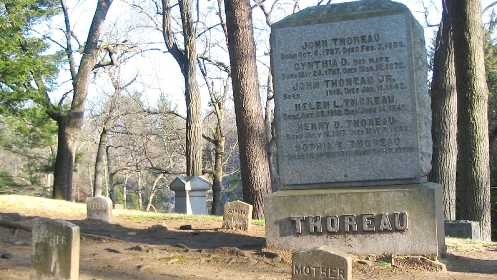 Photo of headstones in  cemetery. 