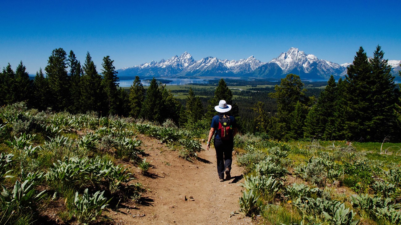 A hiker walks down a trail towards a mountain range.