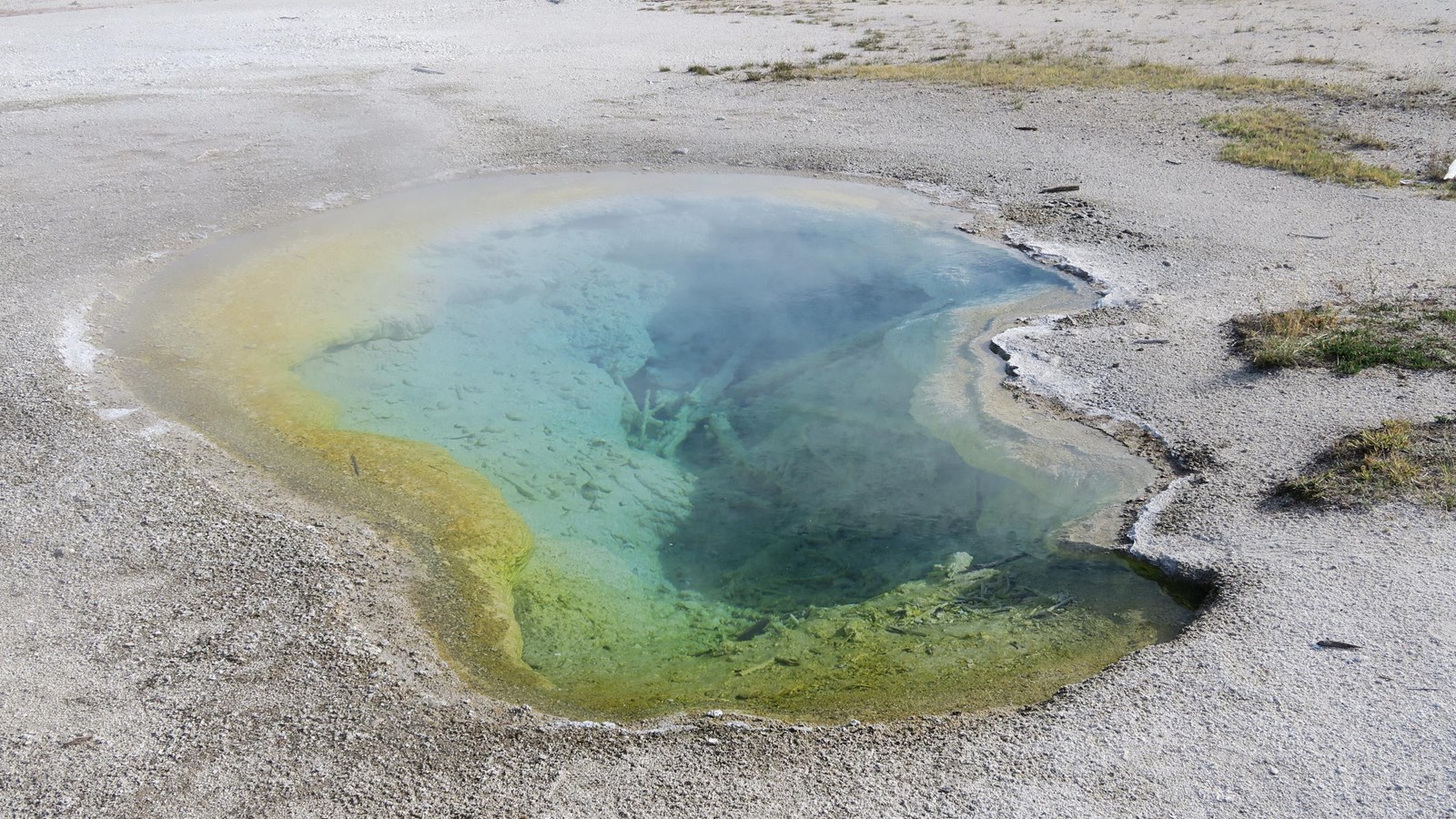 Steam rises off of a blue hot spring with yellow bacterial mats along the rim.