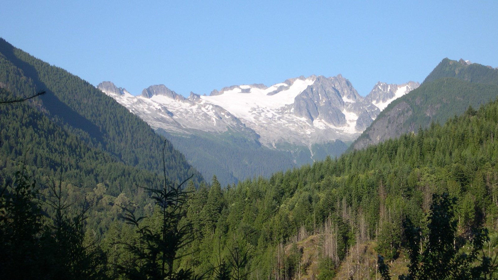 View of a distant mountain with forested slopes in the foreground.