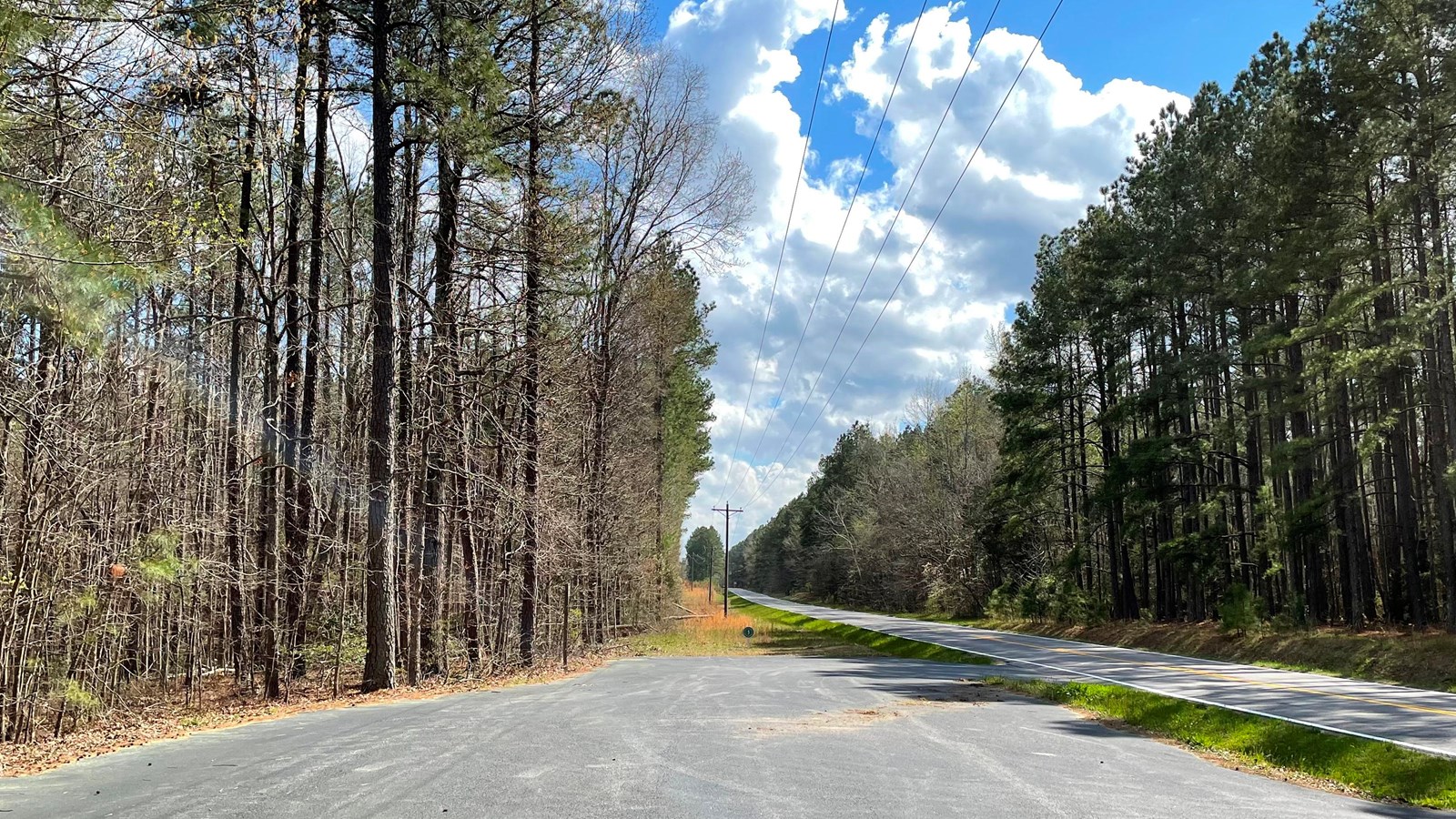 Looking up a road through a wooded area.