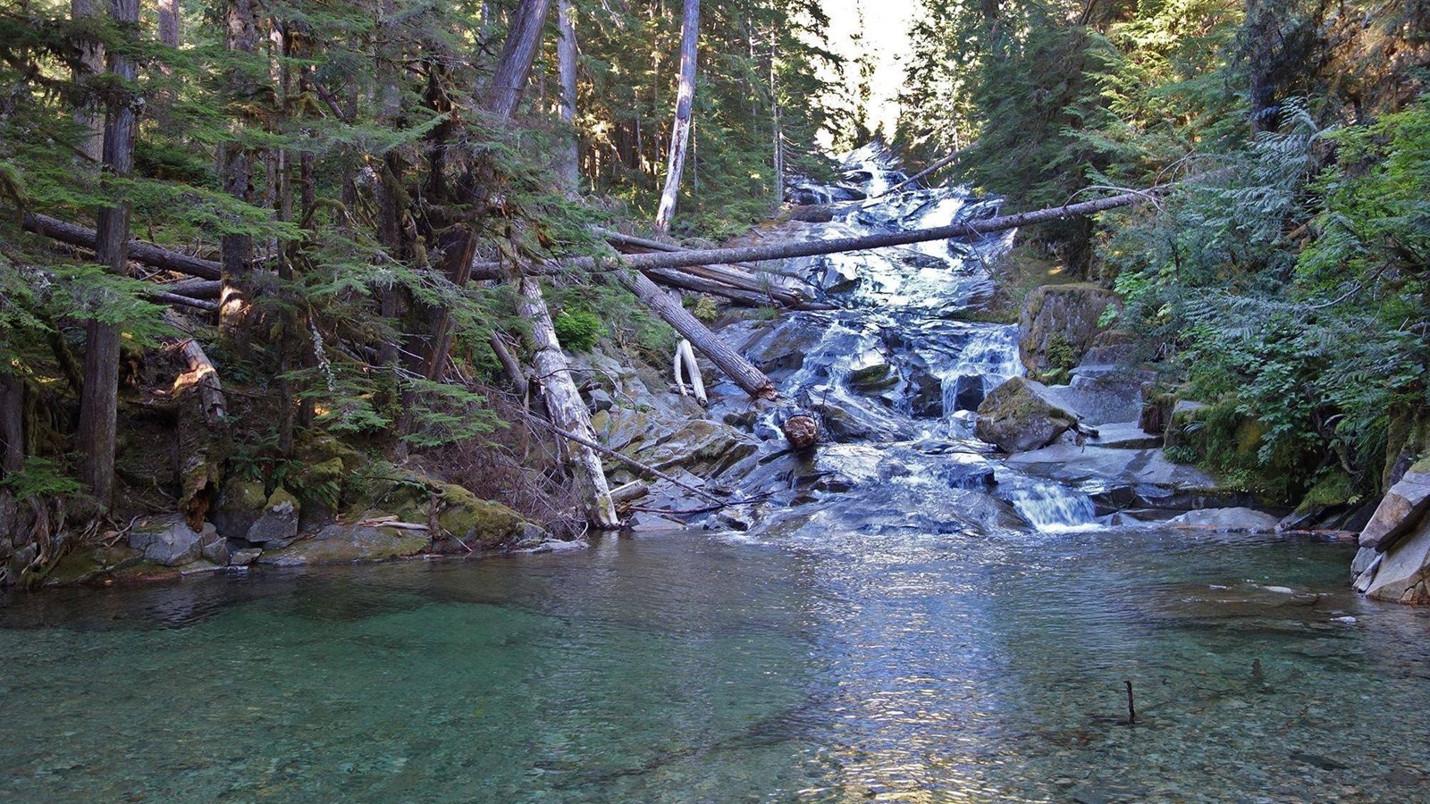 A cascading waterfall empties into a clear blue pool surrounded by rocks and forest.