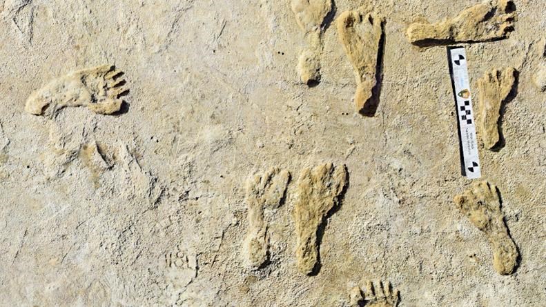 Tan surface with several darker footprint impressions. A photo scale provides size context