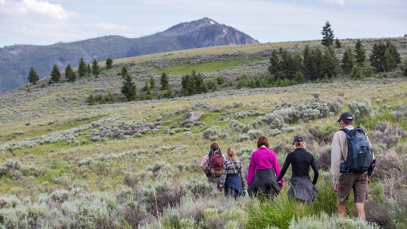 Hikers travel along a trail through the sagebrush with a mountain peak in the distance.