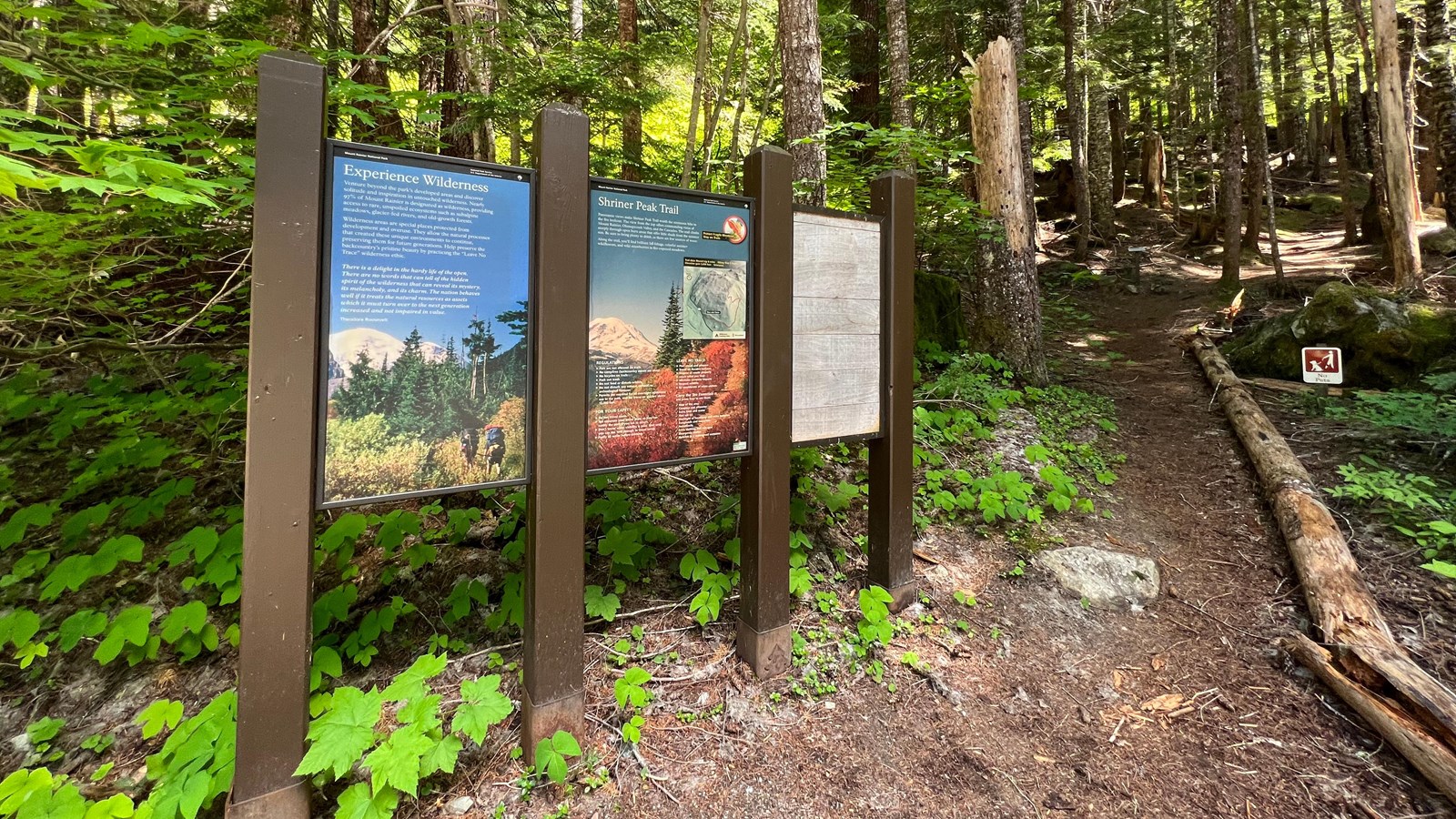 A large 3-paneled sign with hiking information to the left of a trail in the forest