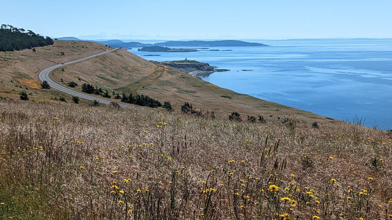 A grassy hill on a island with a winding road and a lighthouse in the distance