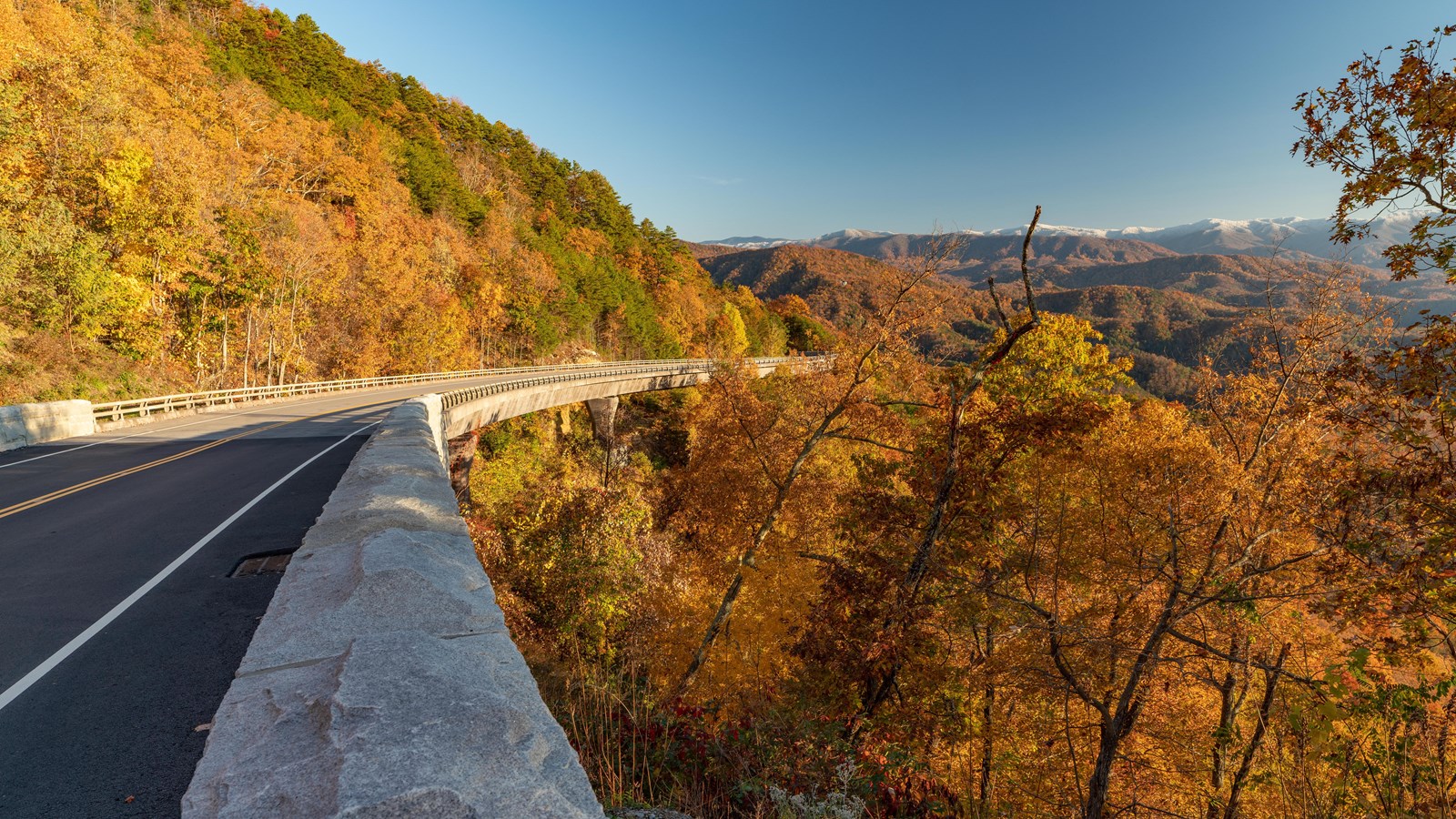 A winding road through a fall-colored forest with sweeping mountain views on the horizon.