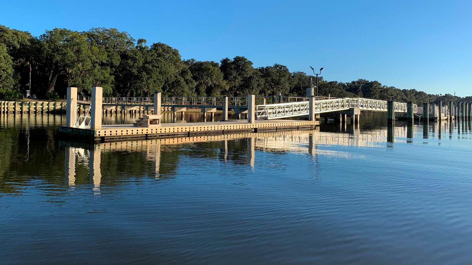 A floating dock in the rover with a forested park behind it.