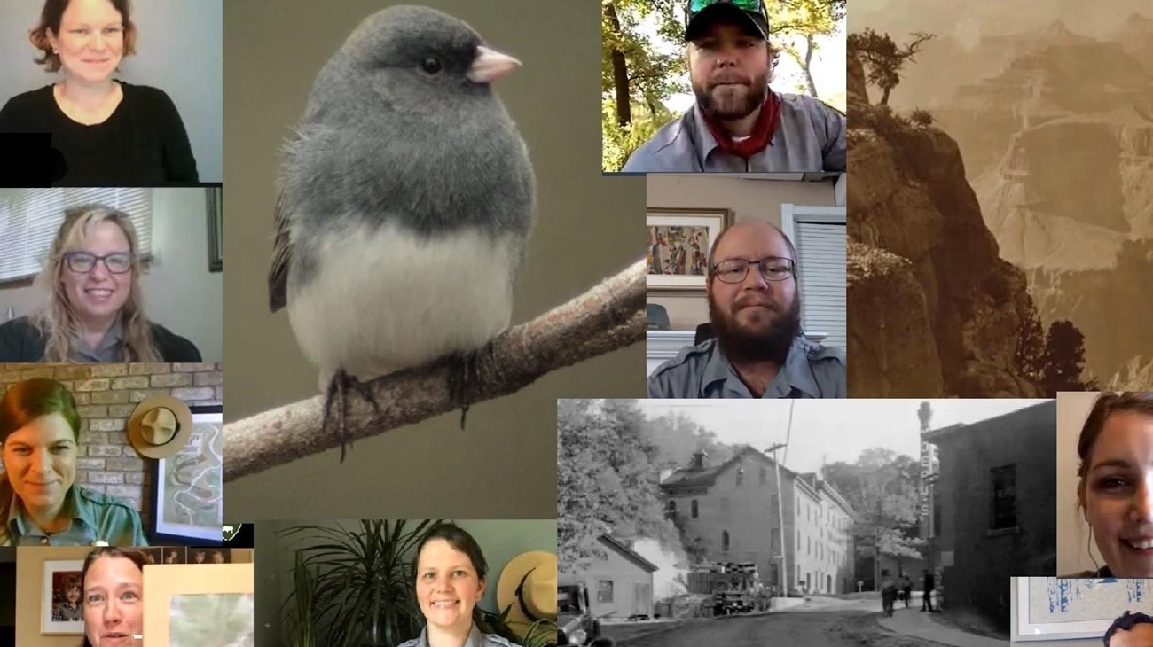 A collage of different park rangers talking.   