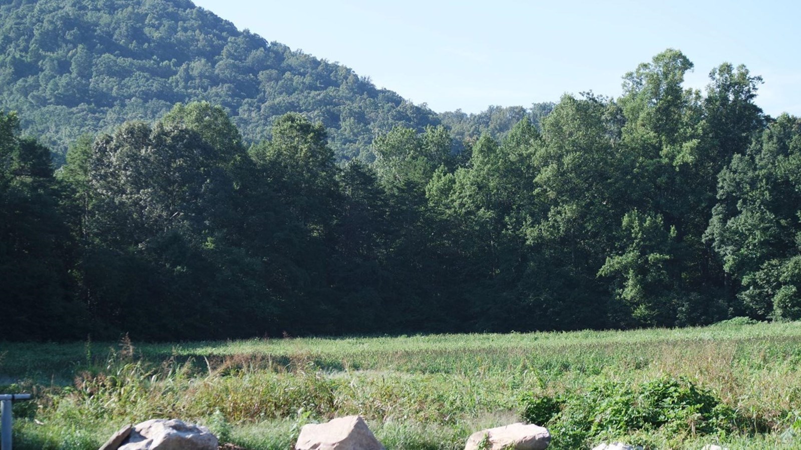 A green field surrounded by a forest and a mountain in the background.