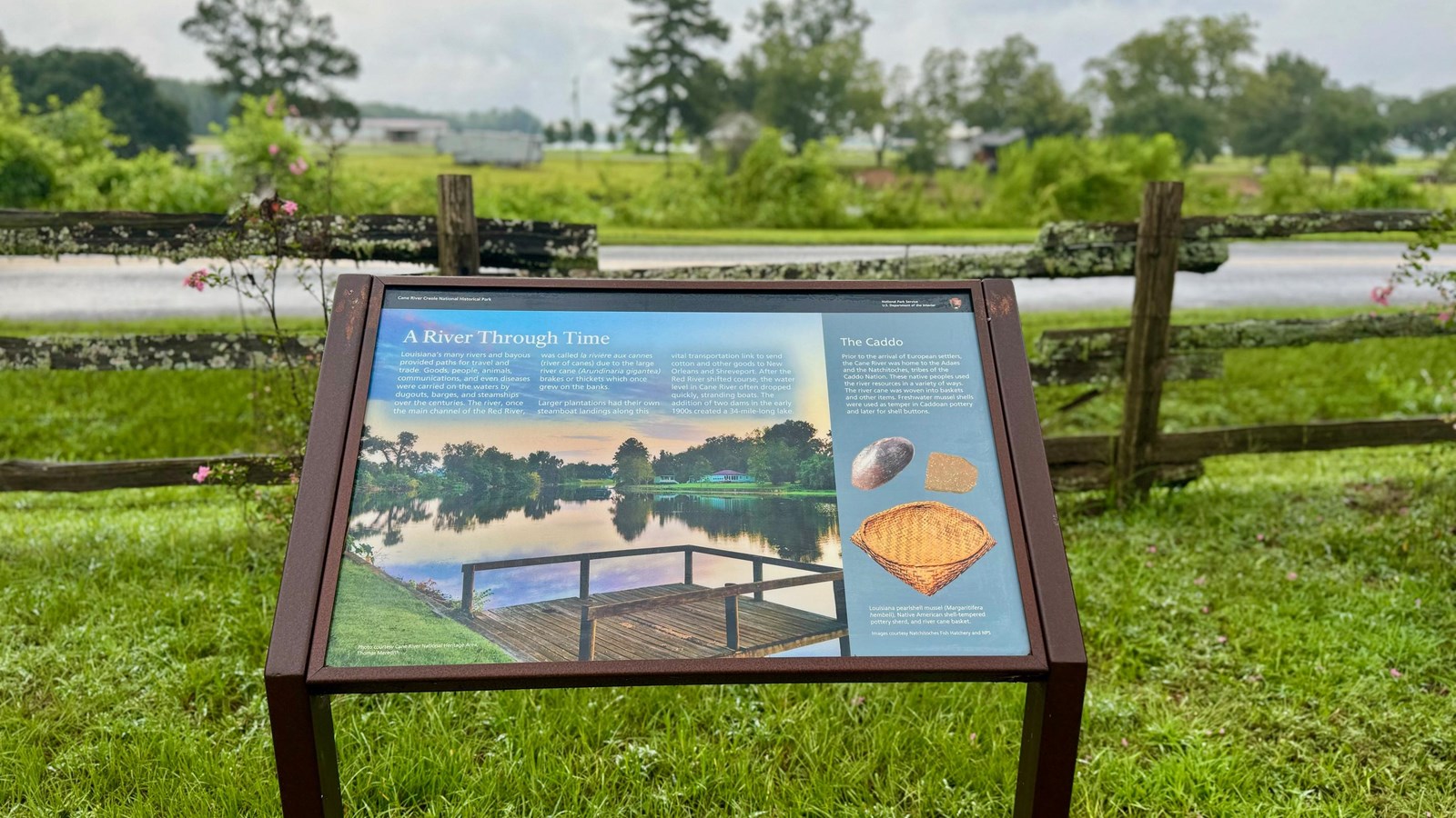 View of Cane River Lake from the Oak Allee at Oak Plantation
