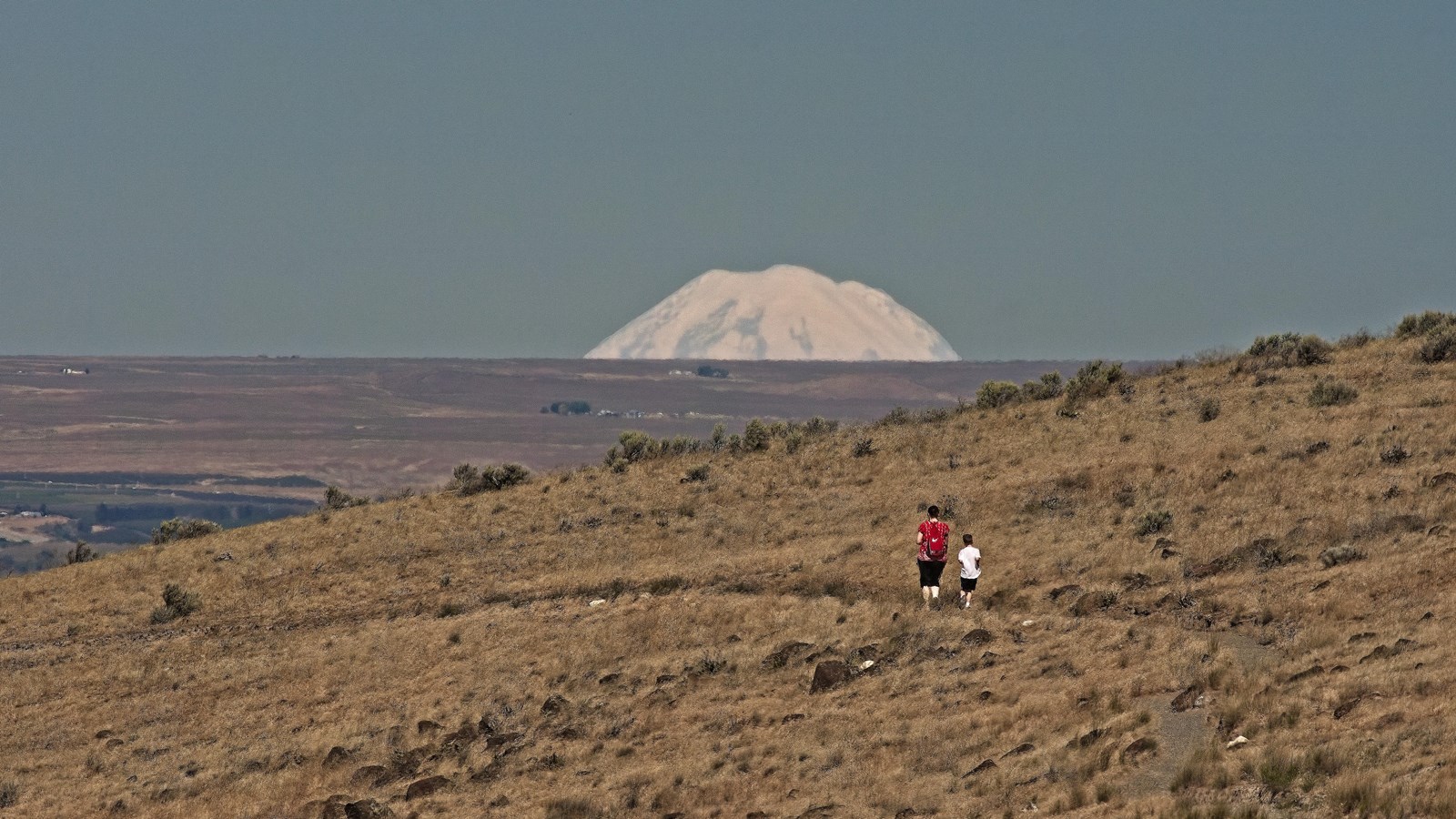 View of Mt. Adams
