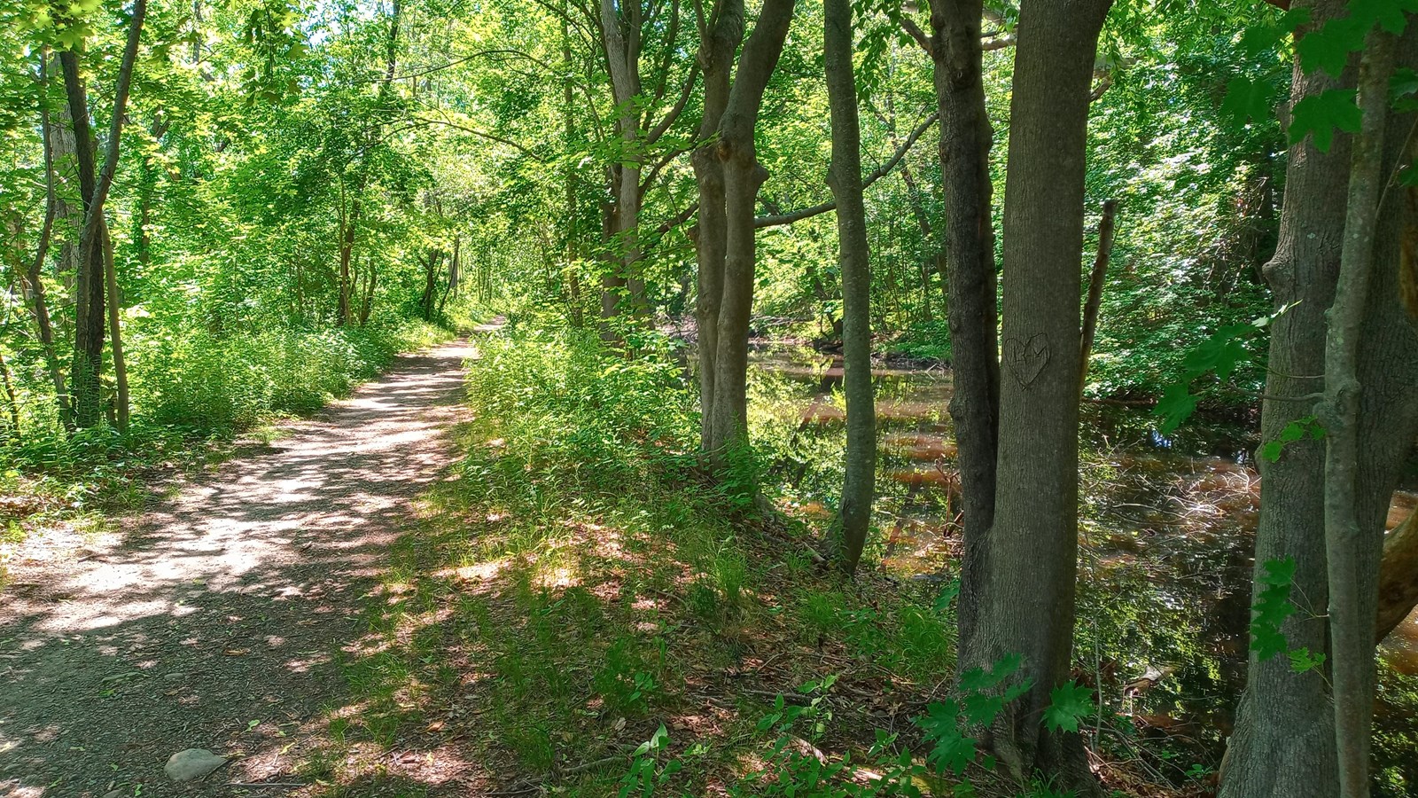 Tow Path along the Blackstone Canal