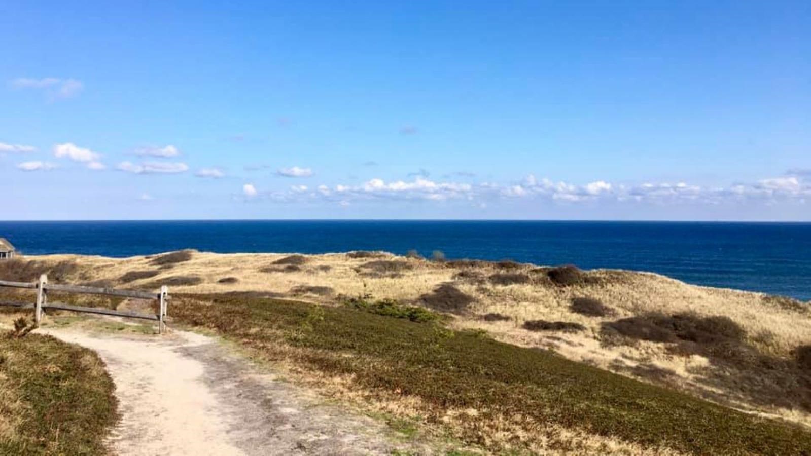 Bearberry Hill Overlook with bushes and sweeping views of the Atlantic Ocean.