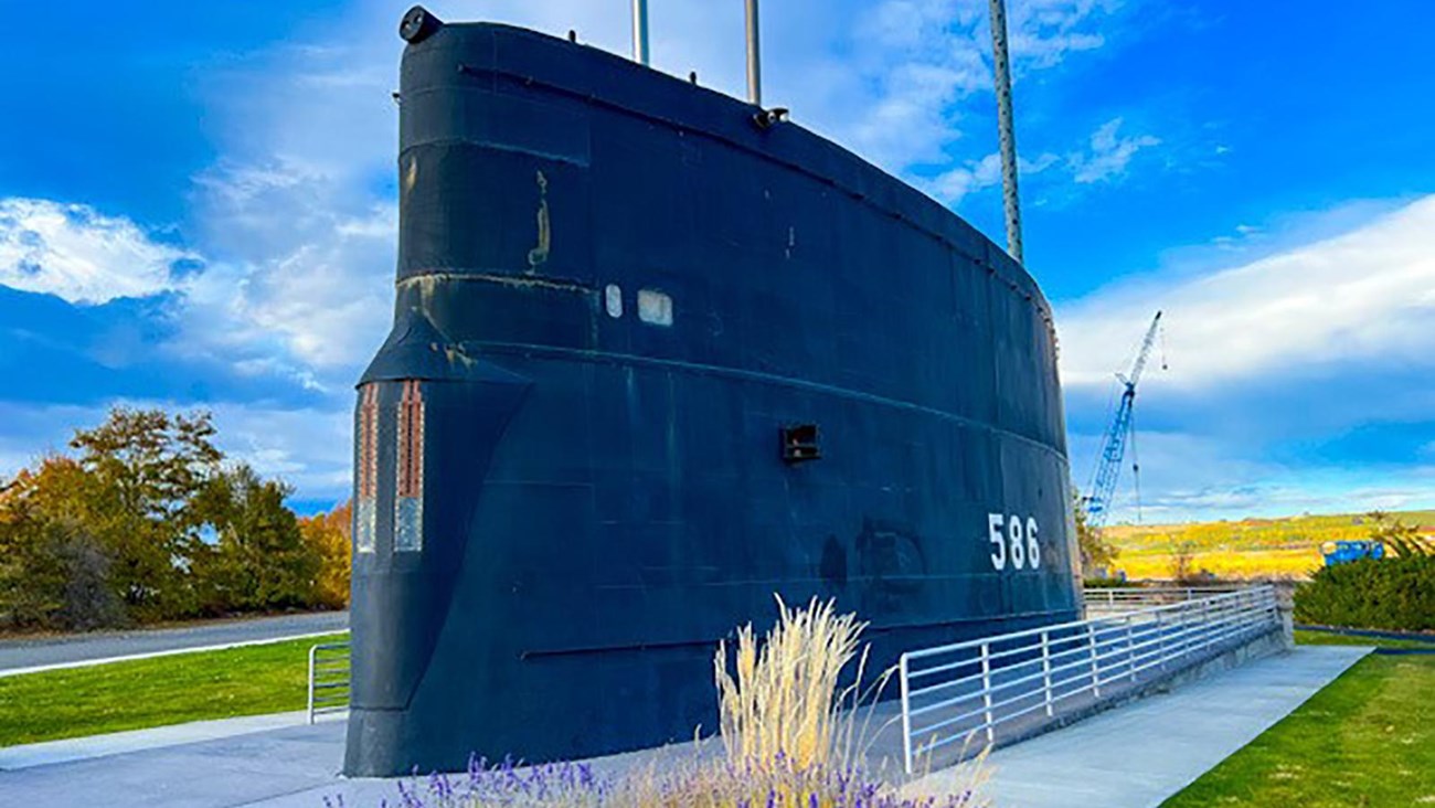 Color photograph of purple flowers in front of the top of a submarine that sits on the sidewalk.   