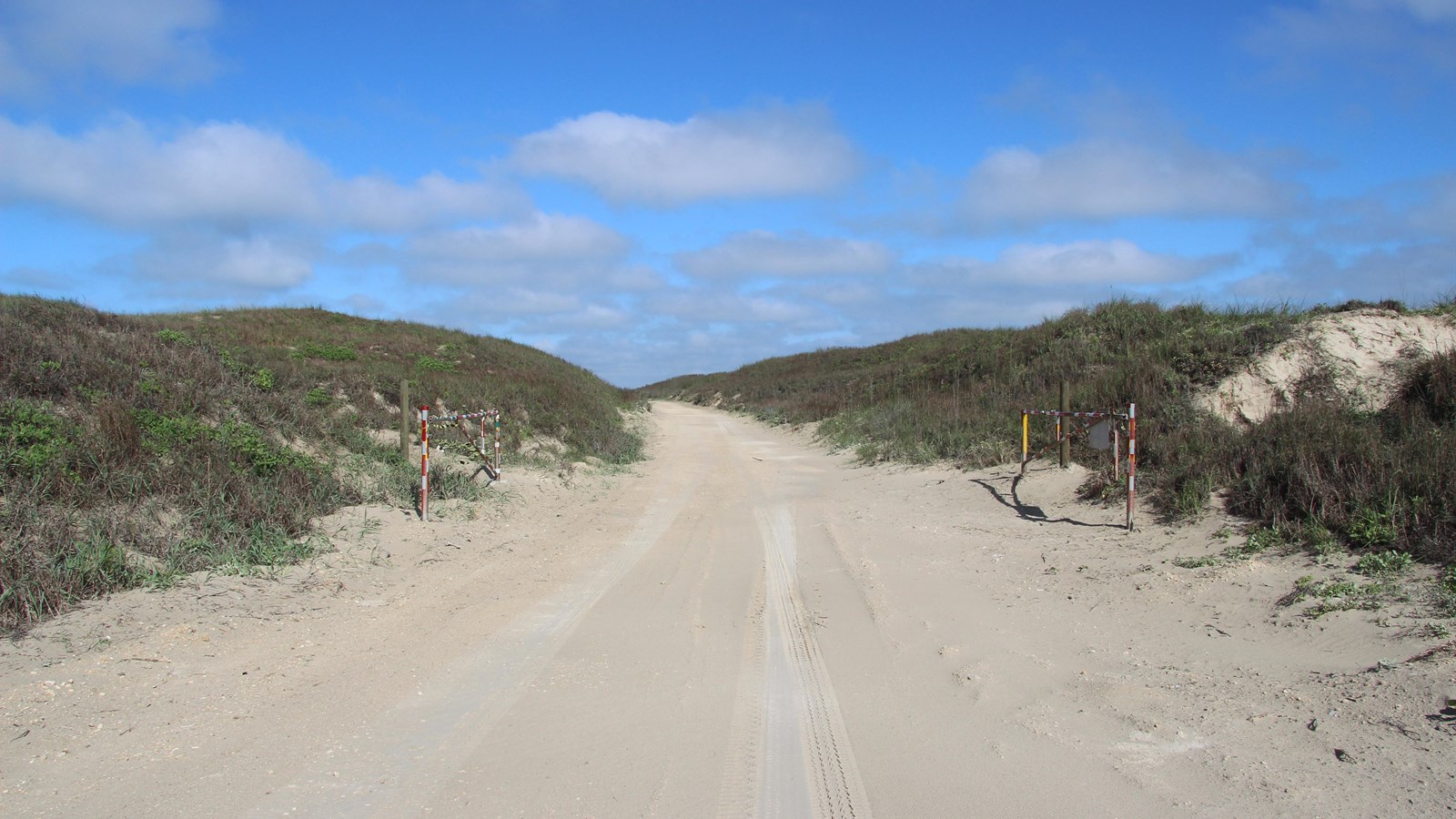 A dirt road cuts through the sand dunes.
