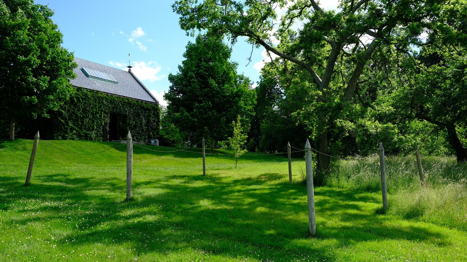 Eight wooden stakes with a rope looped around the tops to dry clothes.