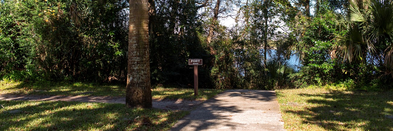 a trail leads to woods