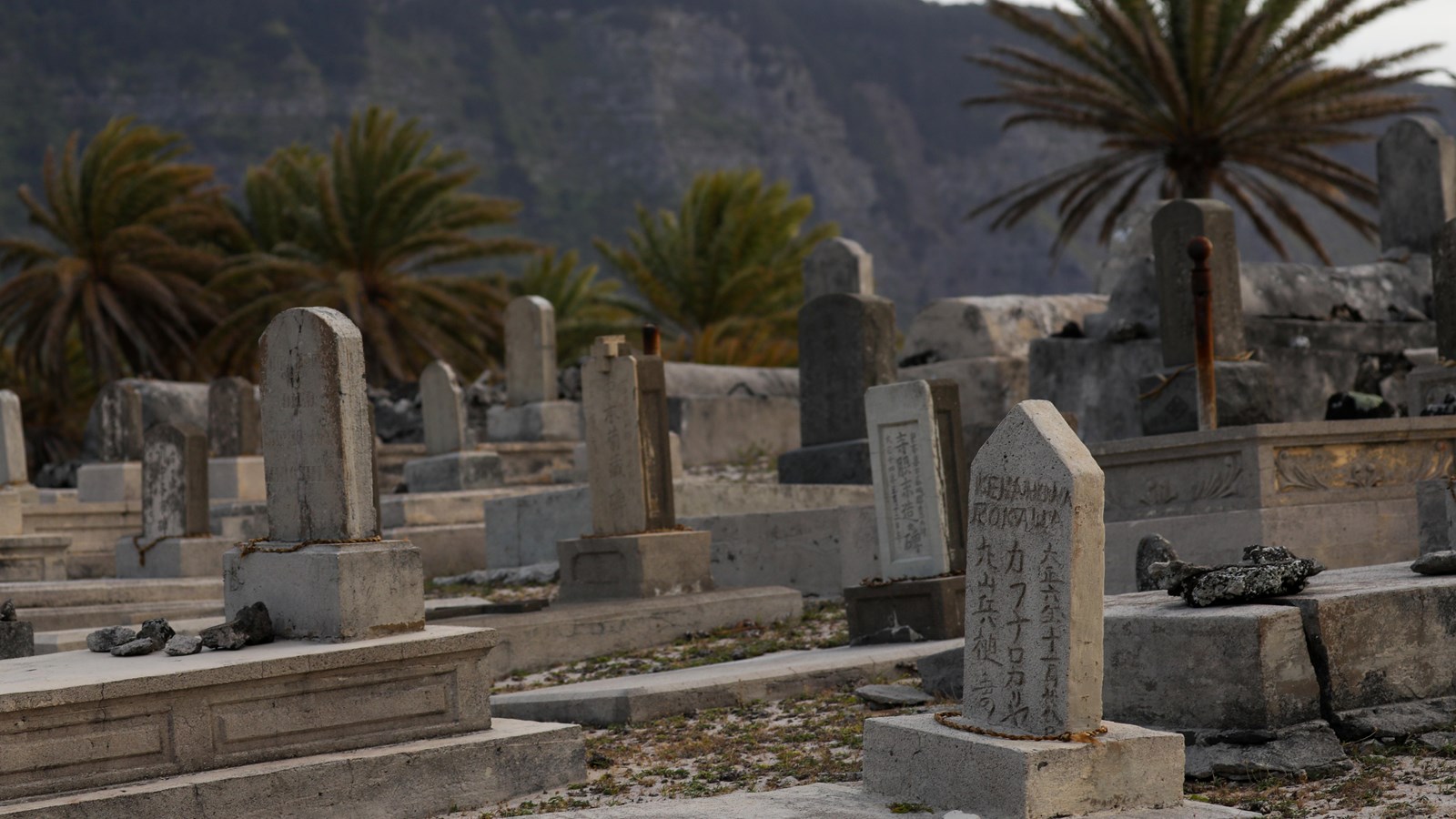 Multiple gravestones in a field