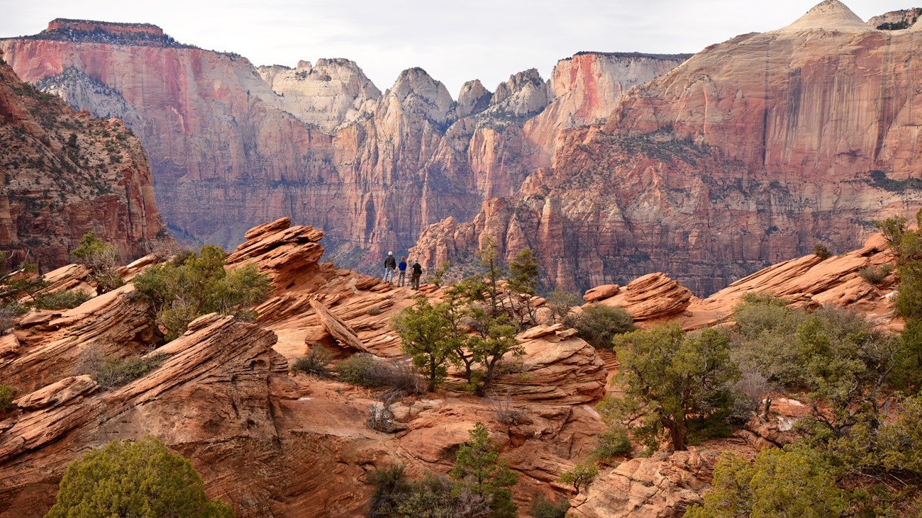 Red sandstone slickrock dotted with green foliage with mountains in the background.