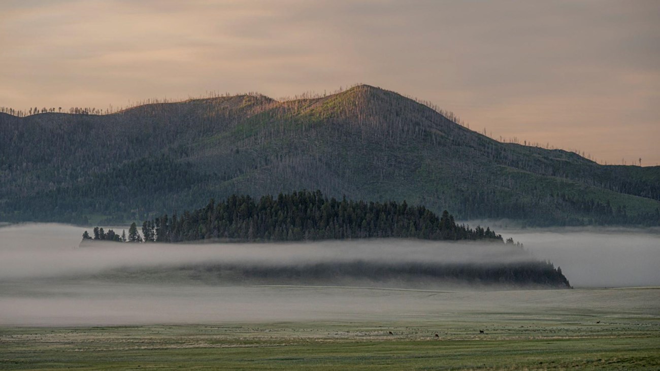 Fog settles into a montane grassland surrounding a forested lava dome.