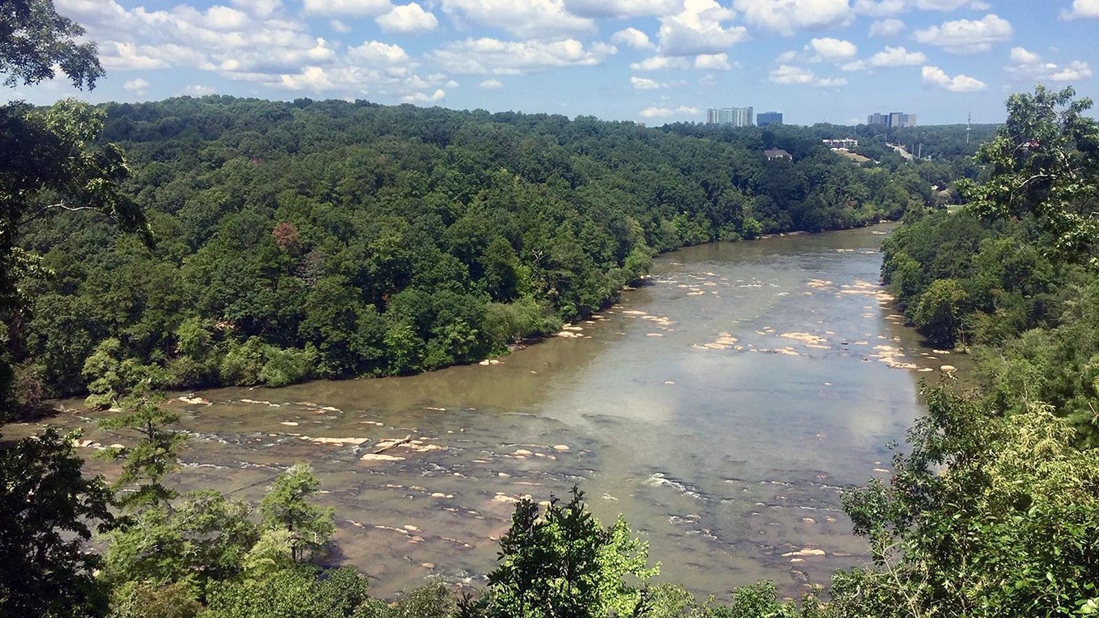 Looking upstream at shoals in the river wooded shorelines, and a few high rise buildings in distance