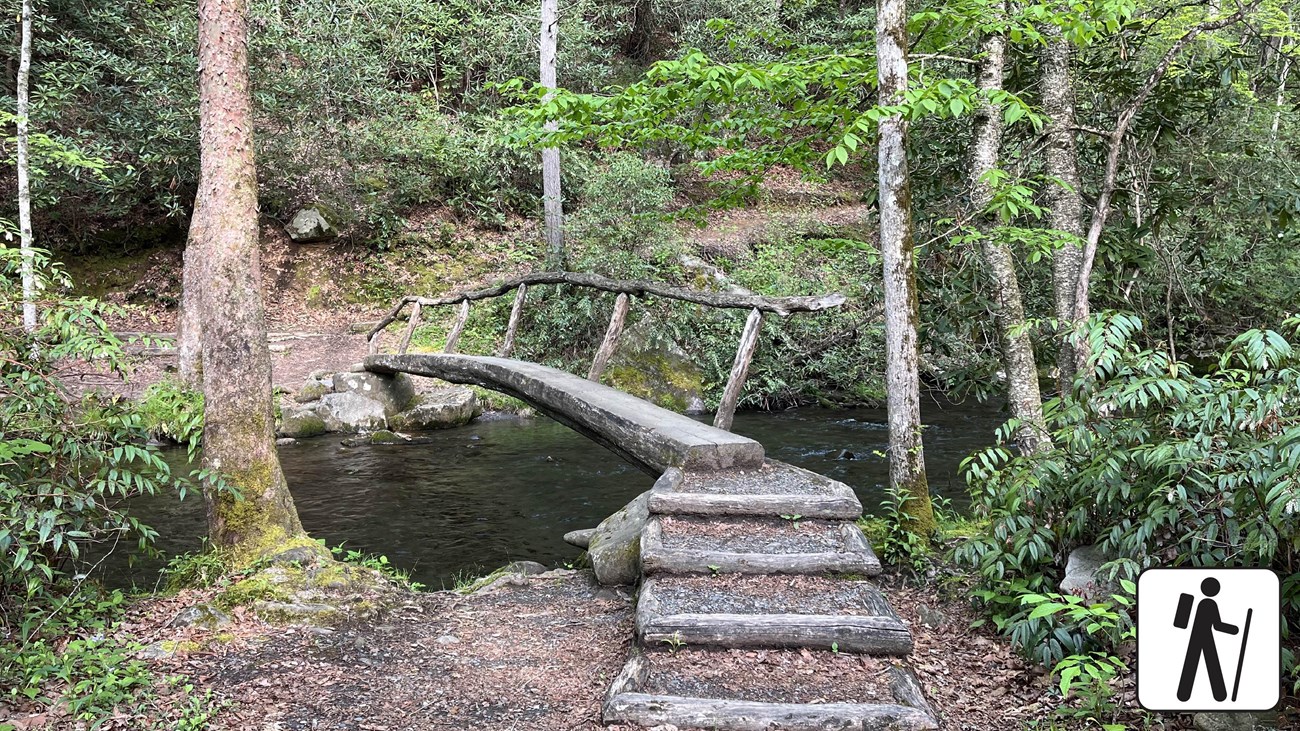 A footlog bridge over a stream in the forest.