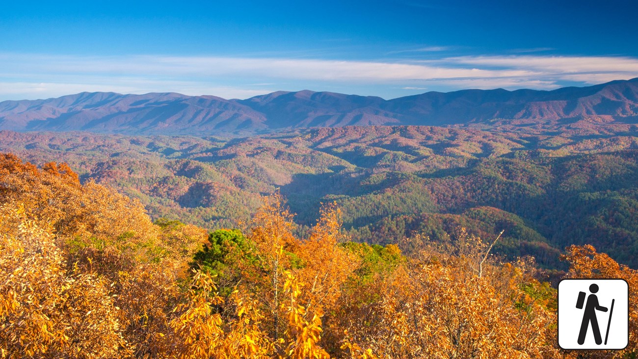 View of rolling mountains with fall colors, a partly cloudy sky and gold trees in the foreground