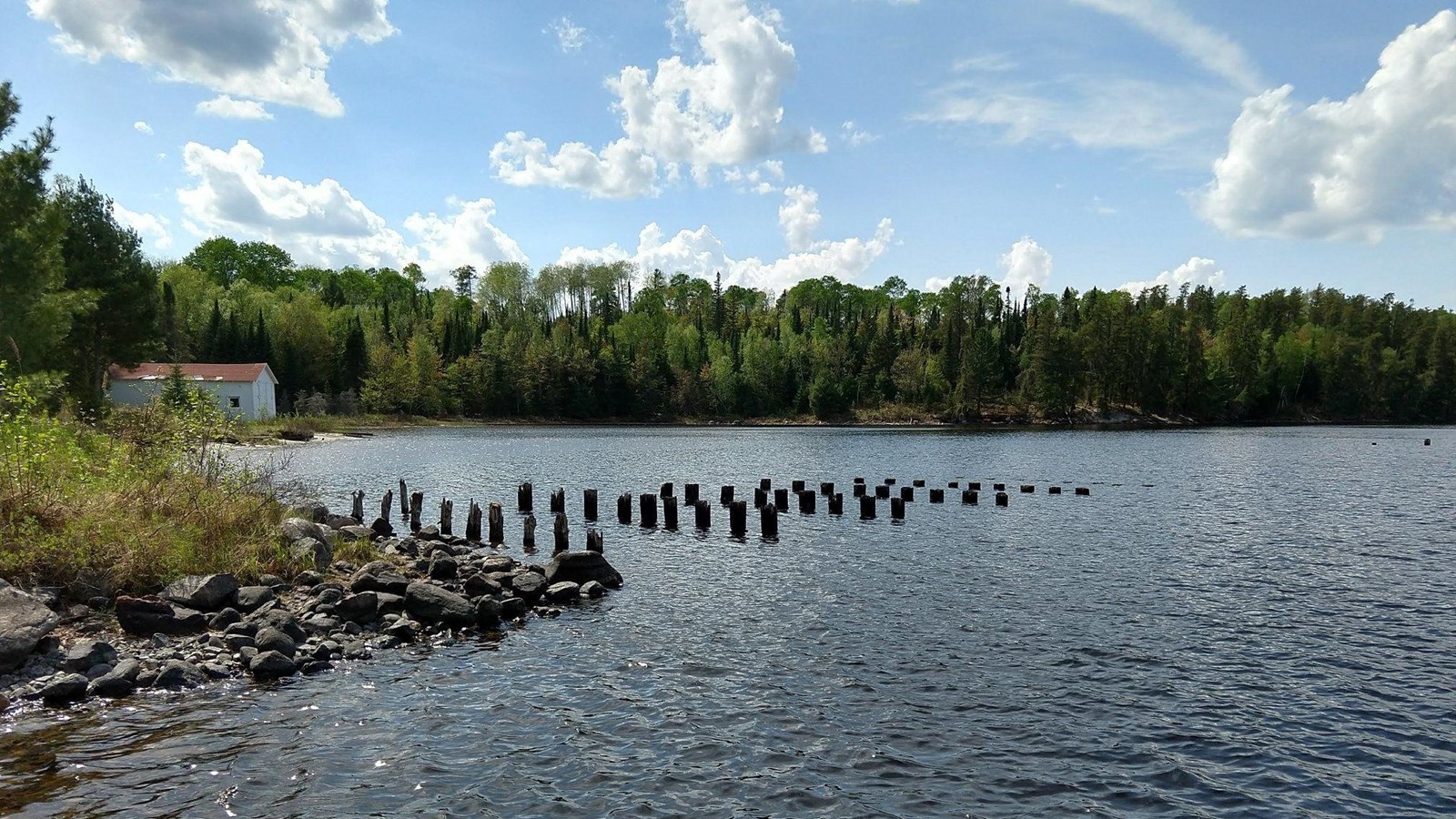Wooden logs stick out of the water in uniform rows. A white cabin is in the background. 