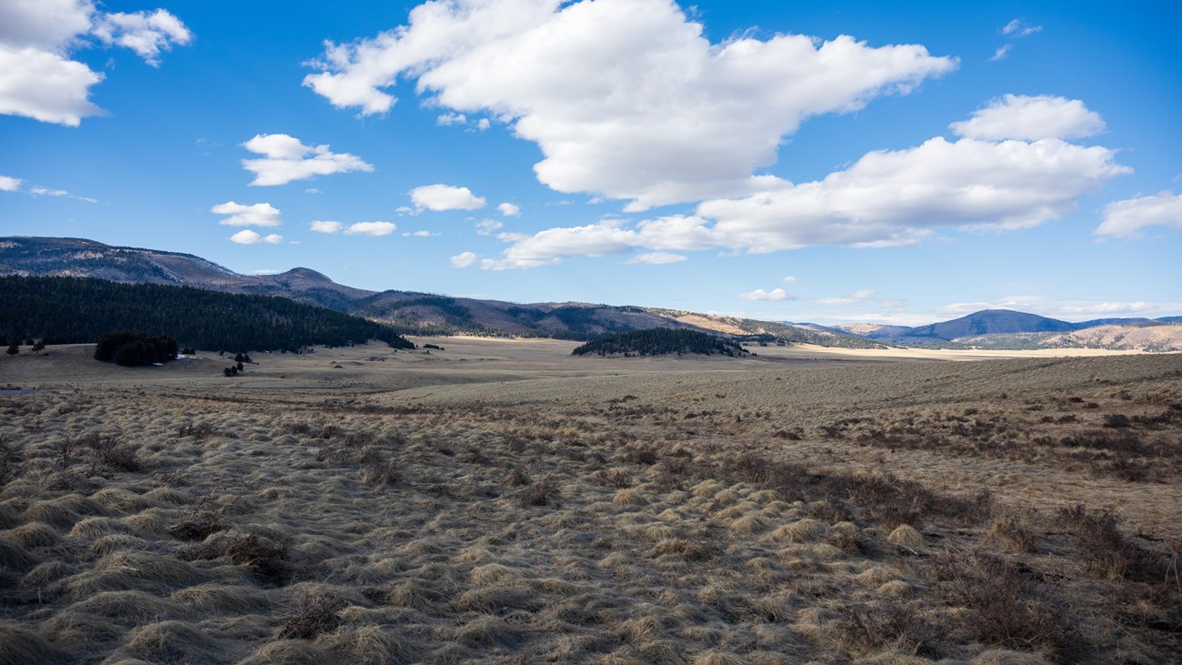 A sweeping, montane grassland dotted with forested lava domes.