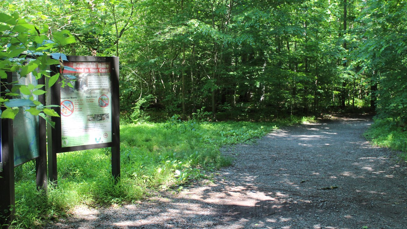 wayside next to a trail going into trees
