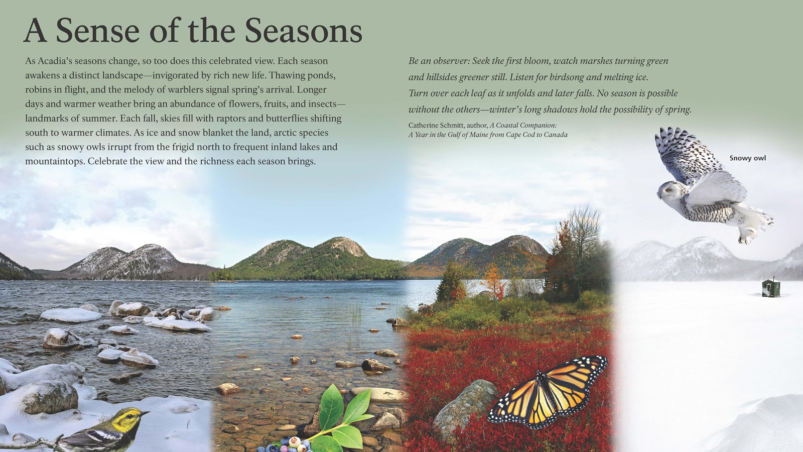 The exhibit\'s title appears over four images of Jordan Pond taken in different seasons.